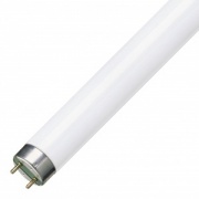 Люминесцентная лампа T8 Osram L 18 W/865 PLUS ECO RUS G13, 590 mm